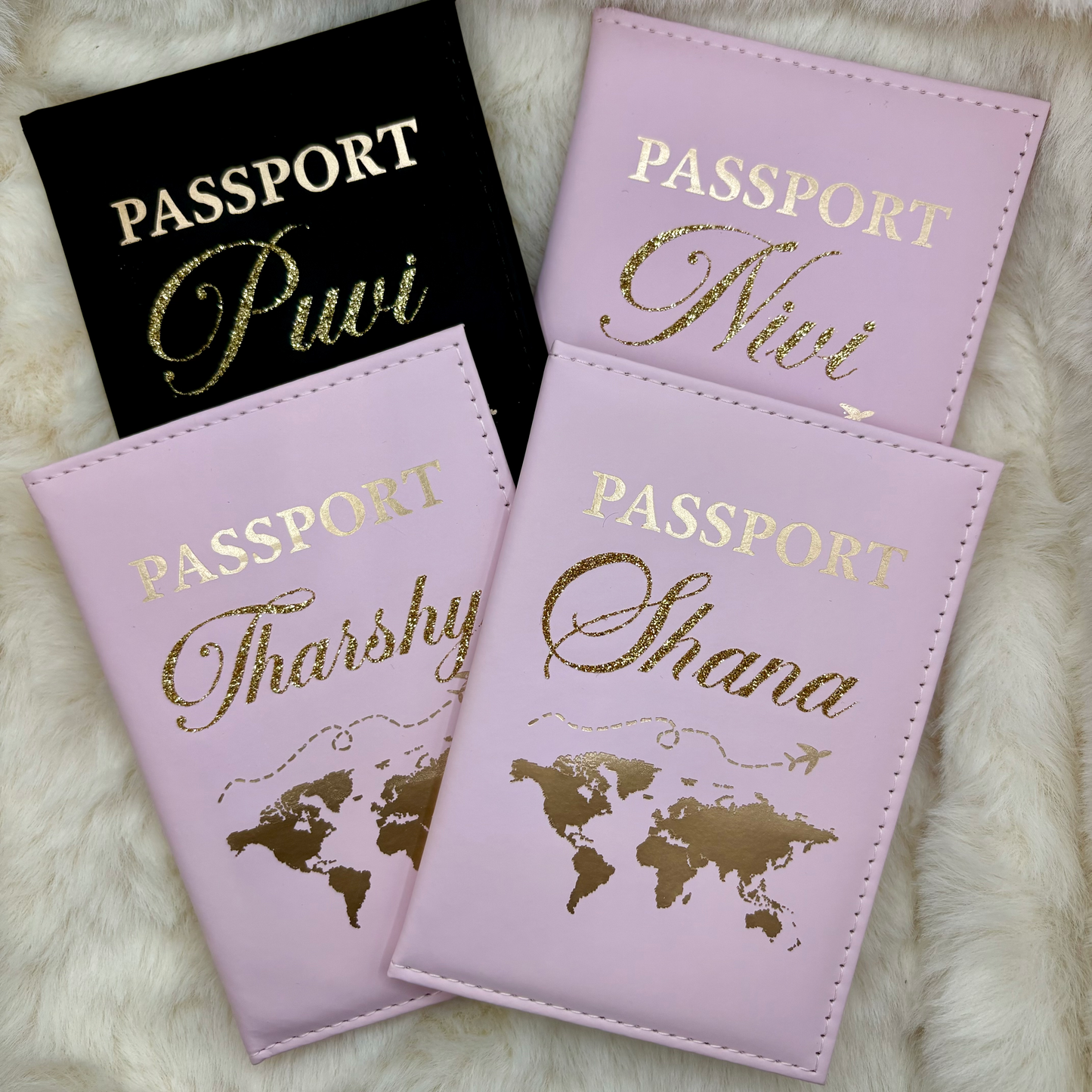Protège passeport ✈️