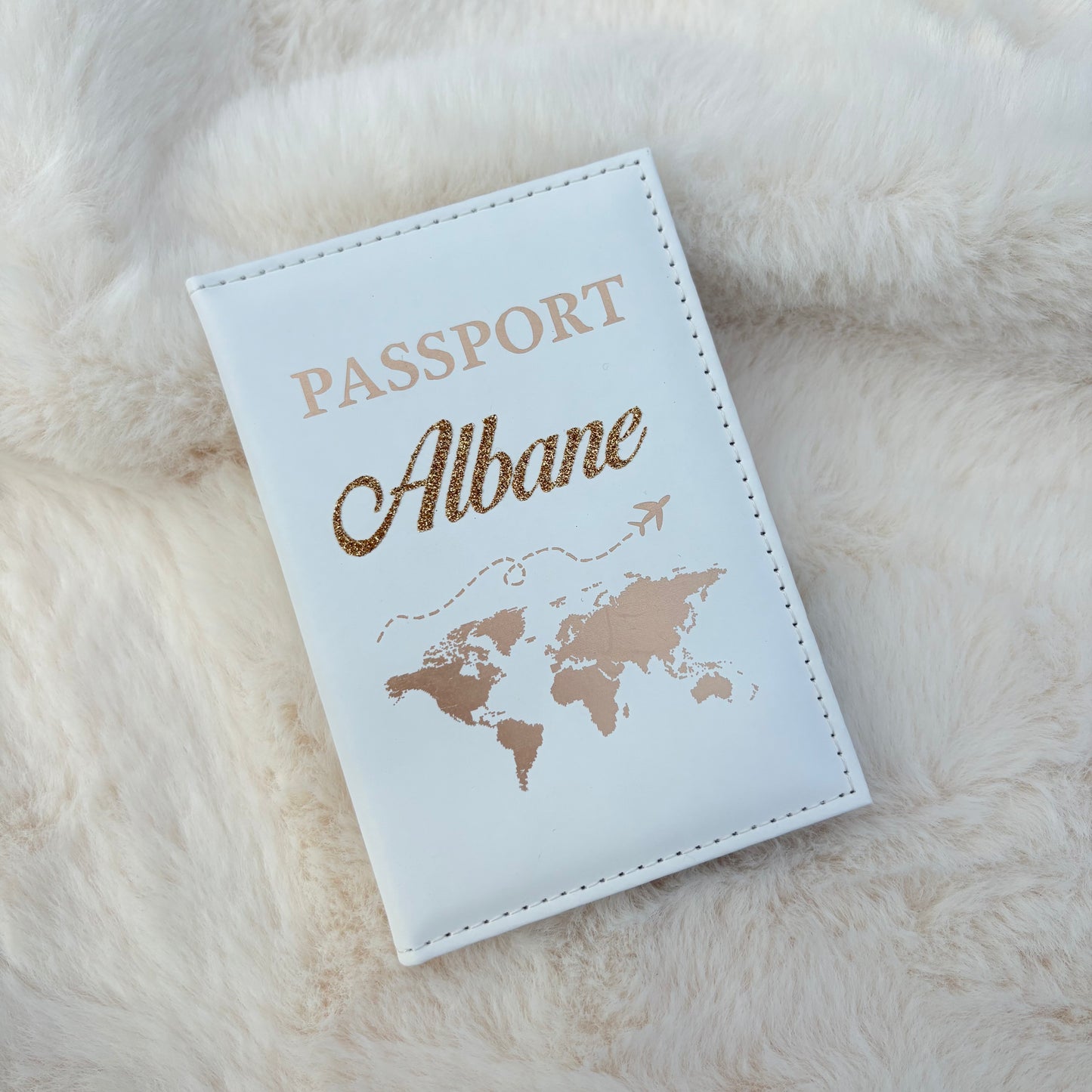 Protège passeport ✈️